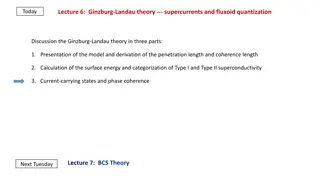 Ginzburg-Landau Theory and Superconductivity Phenomena
