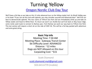 Yellow Jacket Trail Ski Tour - Full Day Adventure in Oregon