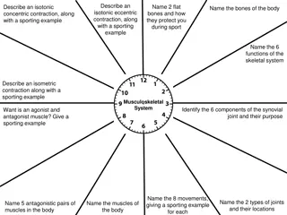 Musculoskeletal System in Sports Science