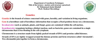 Nucleic Acid Structure Lecture Overview