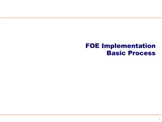 Implementing FOE Program Control Processes