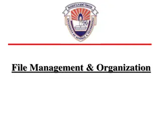Introduction to File Management & Organization