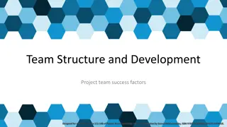 Team Structure and Development for Project Team Success Factors