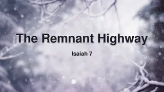 Divine Promises vs. Human Plans: Trusting in the Lord's Assurance