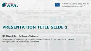 Efficiency Enhancement through Energy Audit Practices - KNOWnNEBs Case Study