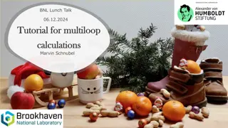 Tutorial for Multiloop Calculations: Master Integrals & Automated Solutions