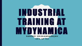 MyDynamica: Innovating IT Solutions for Various Industries