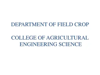 Crop Storage and Preservation Essentials