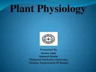 Fascinating Insights into Gibberellins: Plant Hormones Revealed