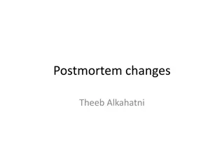 Postmortem Changes and Thanatology