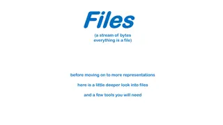 Files and Meta-level Information in Computing