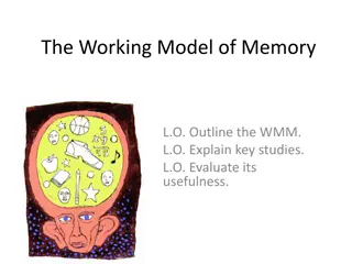 The Working Memory Model: Components and Functionality