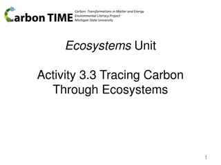 Tracing Carbon Through Ecosystems in Environmental Literacy Project