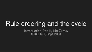 Rule Ordering and Interactions in Linguistics