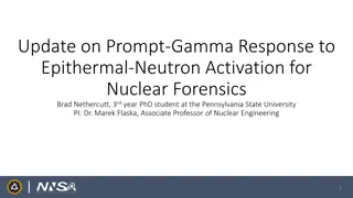 Insights into Prompt Gamma Response for Nuclear Forensics