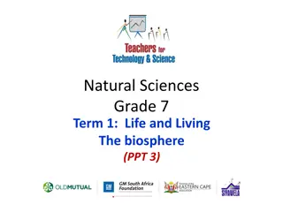 Life Processes in the Biosphere: An Overview for Grade 7 Natural Sciences