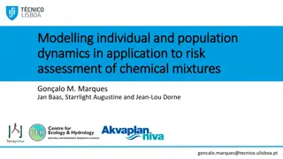 Modelling Individual and Population Dynamics for Chemical Risk Assessment
