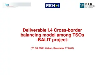 Cross-Border Balancing Model among TSOs - BALIT Project Details