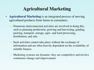 Agricultural Marketing and Its Importance