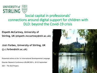 Enhancing Digital Support for Children with DLD: Insights from Professionals