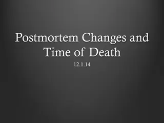 Postmortem Changes and Time of Death
