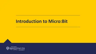 Explore Micro:Bit Programming Challenges