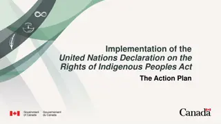 Implementation of United Nations Declaration on Rights of Indigenous Peoples Action Plan