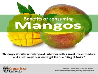 Benefits of Consuming Mangos - Nutritious Tropical Fruit