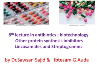 Lincosamides and Streptogramins in Antibiotic Biotechnology