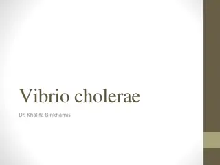 Cholera: Epidemiology, Microbiology, and Management