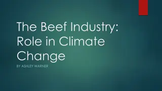 The Environmental Impact of Beef Production Systems