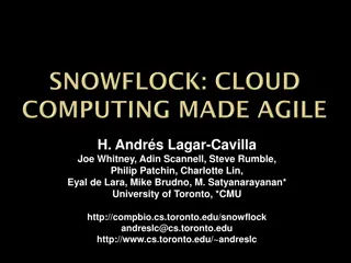 Efficient Parallel Computing in Virtual Environments