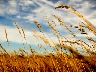 Tallgrass Community Church Events and Updates