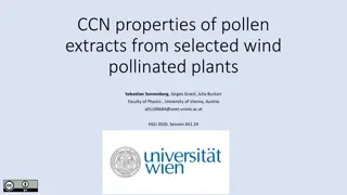 CCN Properties of Pollen Extracts: Experimental Insights
