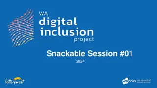 Digital Inclusion Project Overview and Initiatives