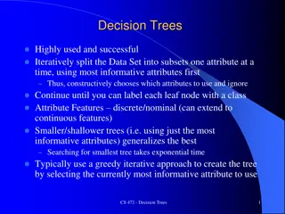 Effective Decision Tree Learning Strategies