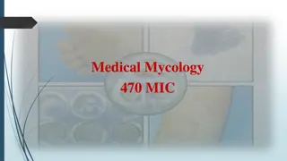 Fungal Infection Diagnostic Techniques in Medical Mycology