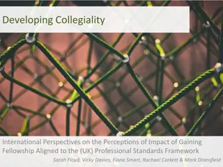International Perspectives on Impact of Gaining Fellowship Aligned to UK Professional Standards Framework