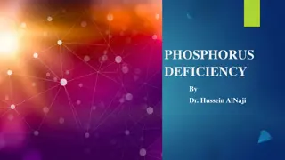 Phosphorus Deficiency: Causes, Symptoms, and Management