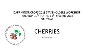 Cherries Production and Pest Control Solutions