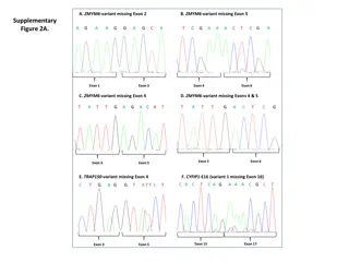 Novel Alternatively Spliced Isoforms in CYFIP1, ZMYM6, and TRAP150 Genes
