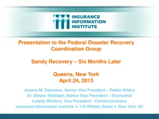Insurance Information Institute's Role in Hurricane Sandy Recovery