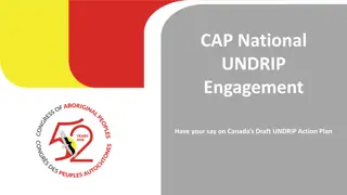 Canada's Draft UNDRIP Action Plan Engagement Details