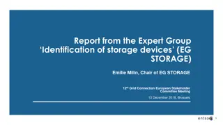 Expert Group on Storage Devices: Updates and Evaluation Findings