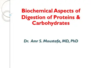 Biochemical Aspects of Protein and Carbohydrate Digestion Explained by Dr. Amr S. Moustafa