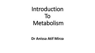 Metabolism: A Comprehensive Overview