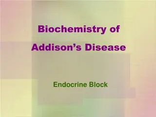 Biochemistry of Addison's Disease in Endocrine Block