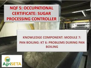 False Grain Formation and Problems During Pan Boiling in Sugar Processing