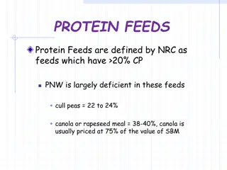 Protein Feeds and Factors to Consider