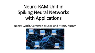 Spiking Neural Networks: From Modeling to Computational Challenges